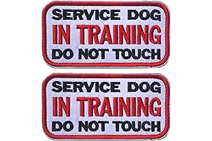 3.94 x 1.96 Inch Service Dog in Training Patch Hook and Loop