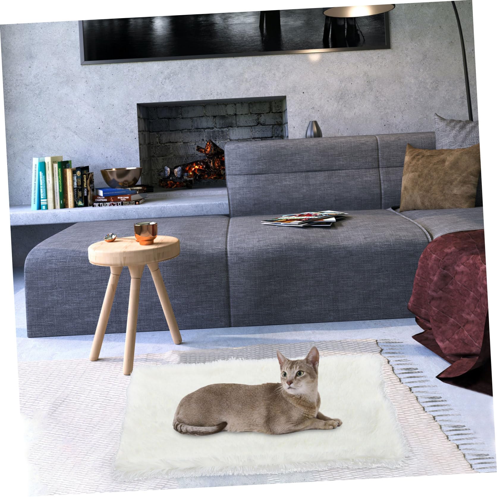 FRCOLOR Coperta per Animali in Peluche, Doppio Strato Caldo e Confortevole | Bianco, Tessuto Lana Artificiale, per Cani e Altri Pet, Adatta a Soggetti Anziani o Mobilità Ridotta