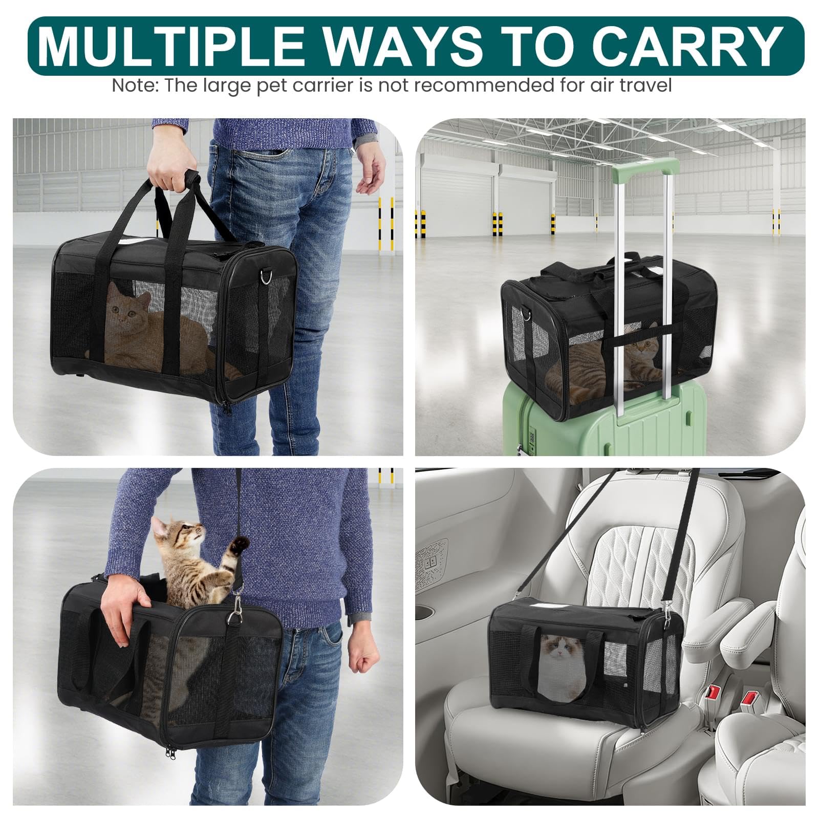 https://m.media-amazon.com/images/I/817kaYr+xlL.jpg