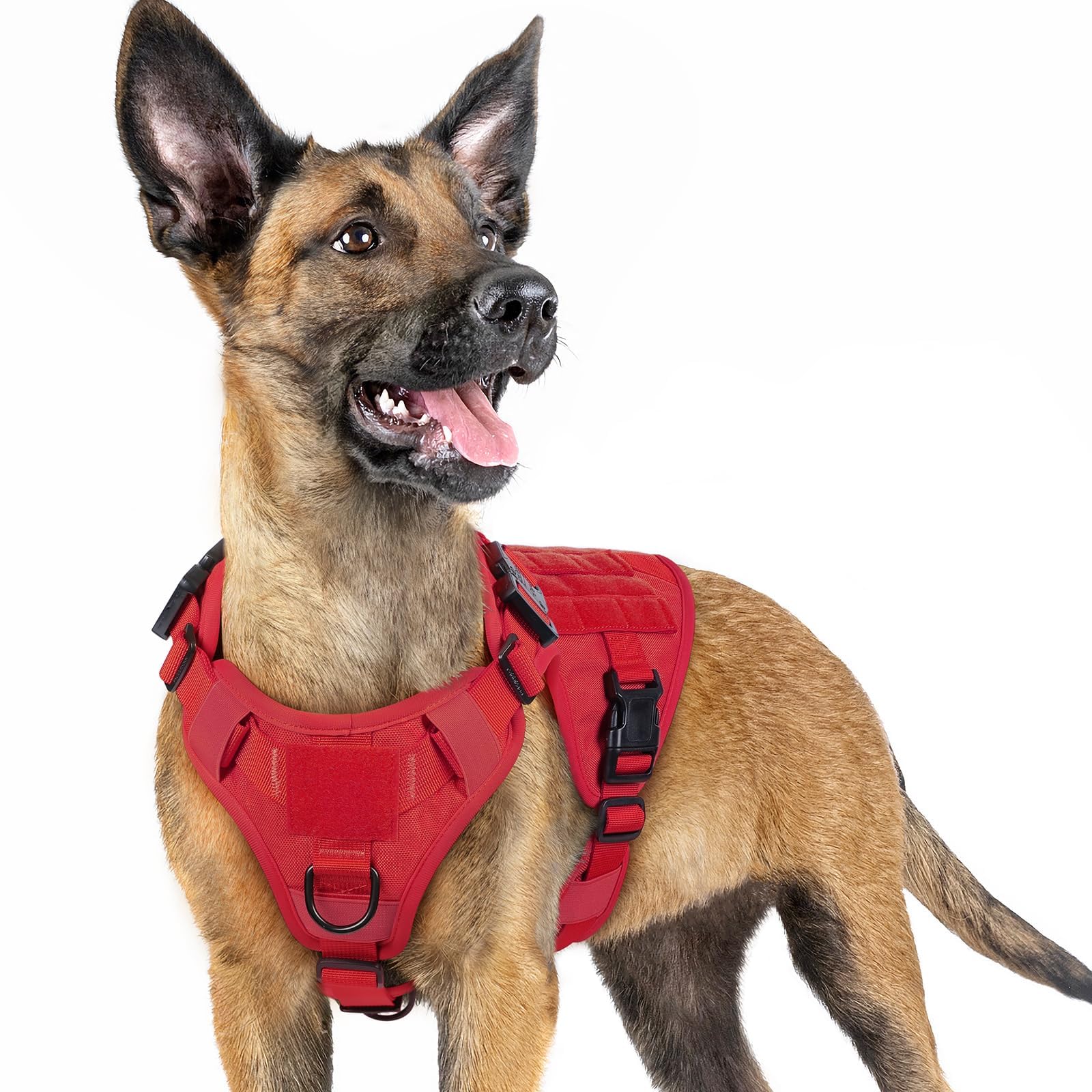 rabbitgoo Tactical Dog Harness for Small, Heavy Duty Pet Harness with Handle, No-Pull Service Vest Small Breed, Adjustable Military Dog Vest for