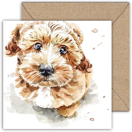 Abacus Cards Ale/Feale Birthday Card - General Funny Card For En - View #4