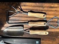 Review Image by Ariel R Mackall Ariel R Mackall