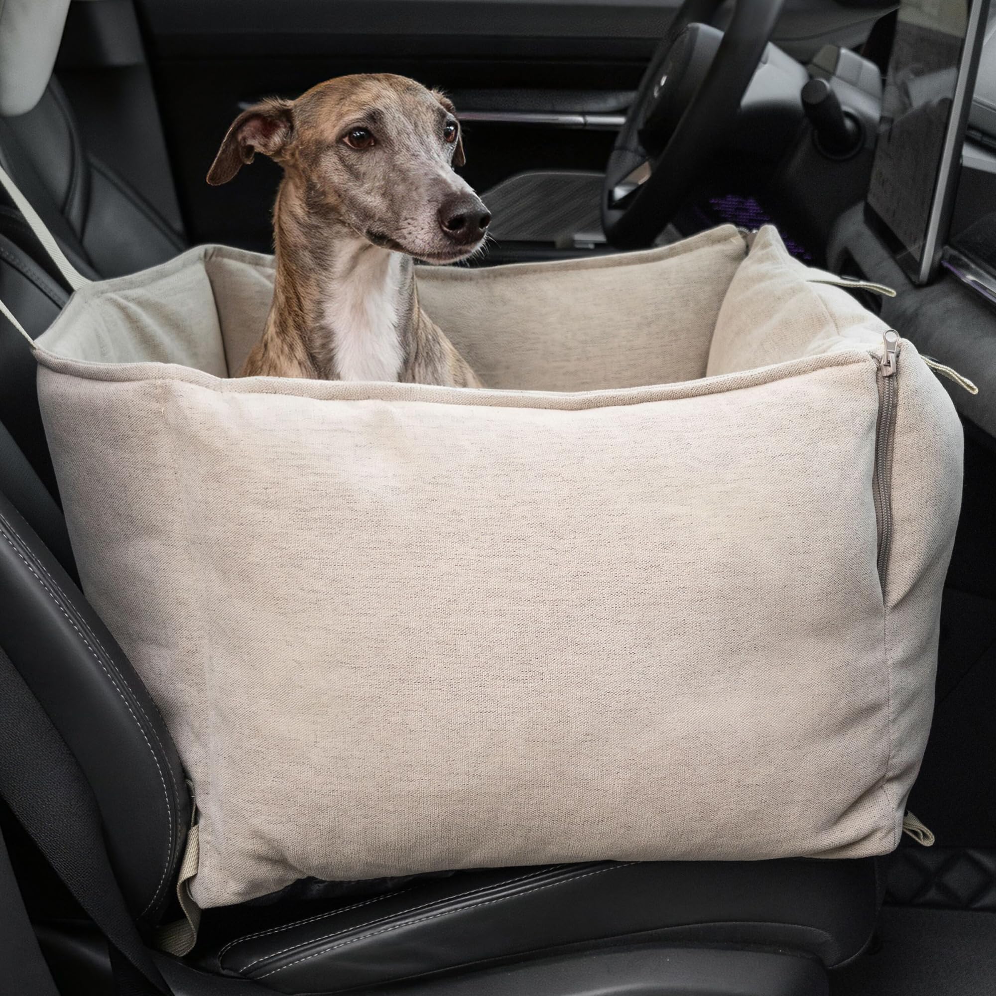 Autositz Hund – Stilvoller Hunde Autositz in höchster Qualität und Sicherheit – Hundesitz Auto Rückbank oder Vorne Hundeautositz (Grau, M)