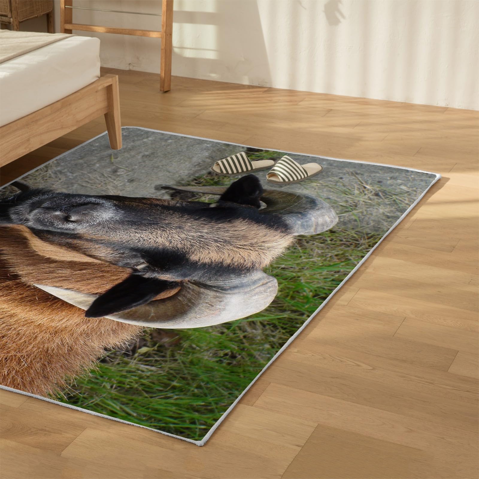 Amazon | ラグマット カラクール羊羊 カーペット 羊 絨毯 80x120