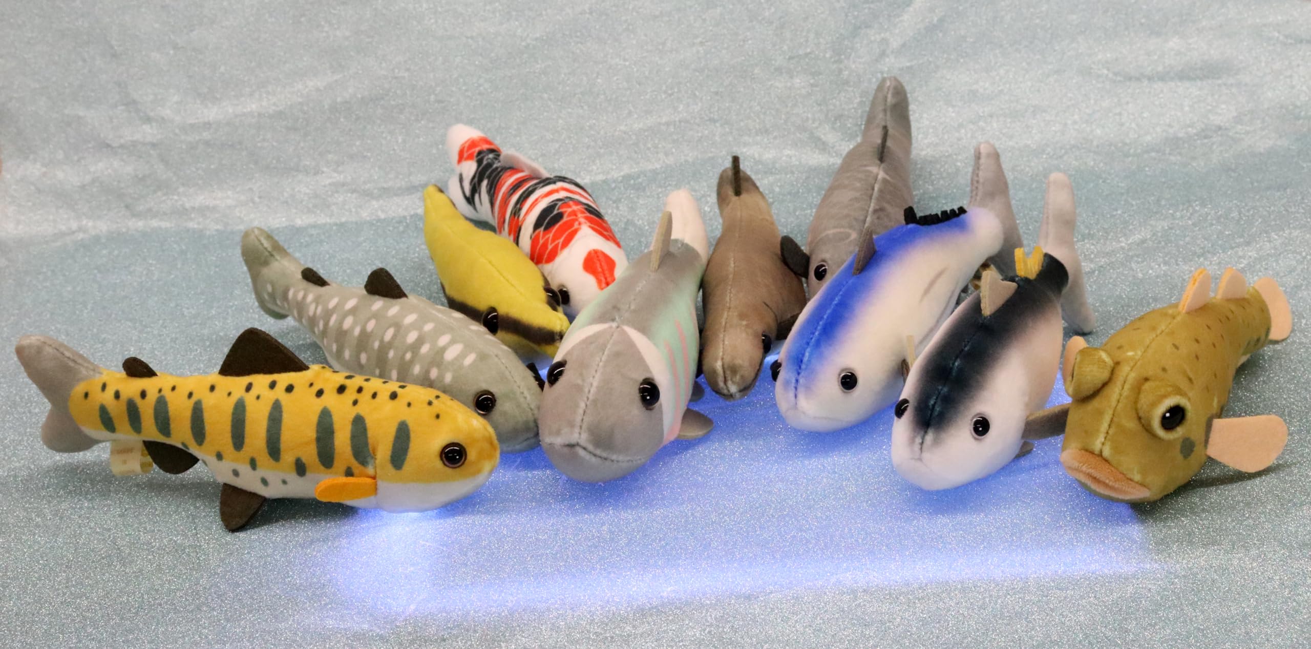 Amazon.co.jp: テイクオフ ピッシュ 小さくてカラフルな 魚の