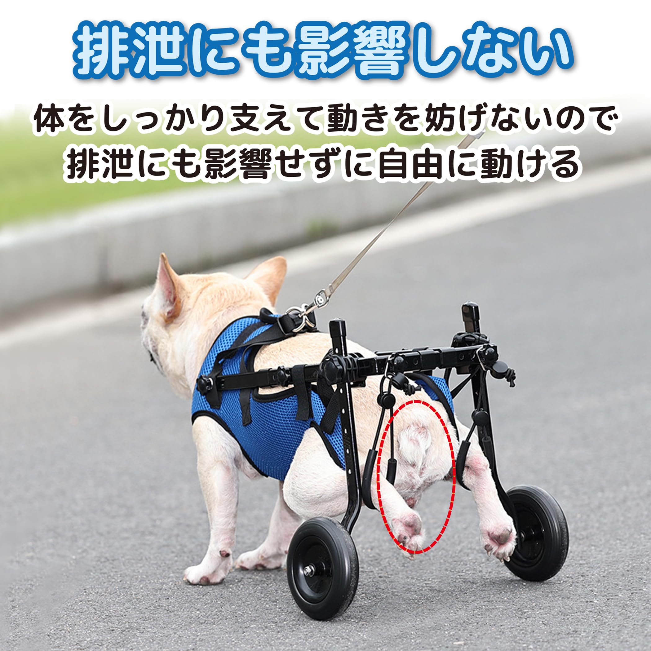 Amazon | EdisonBrain 犬の歩行器 犬用車椅子 ペット 散歩 サポート