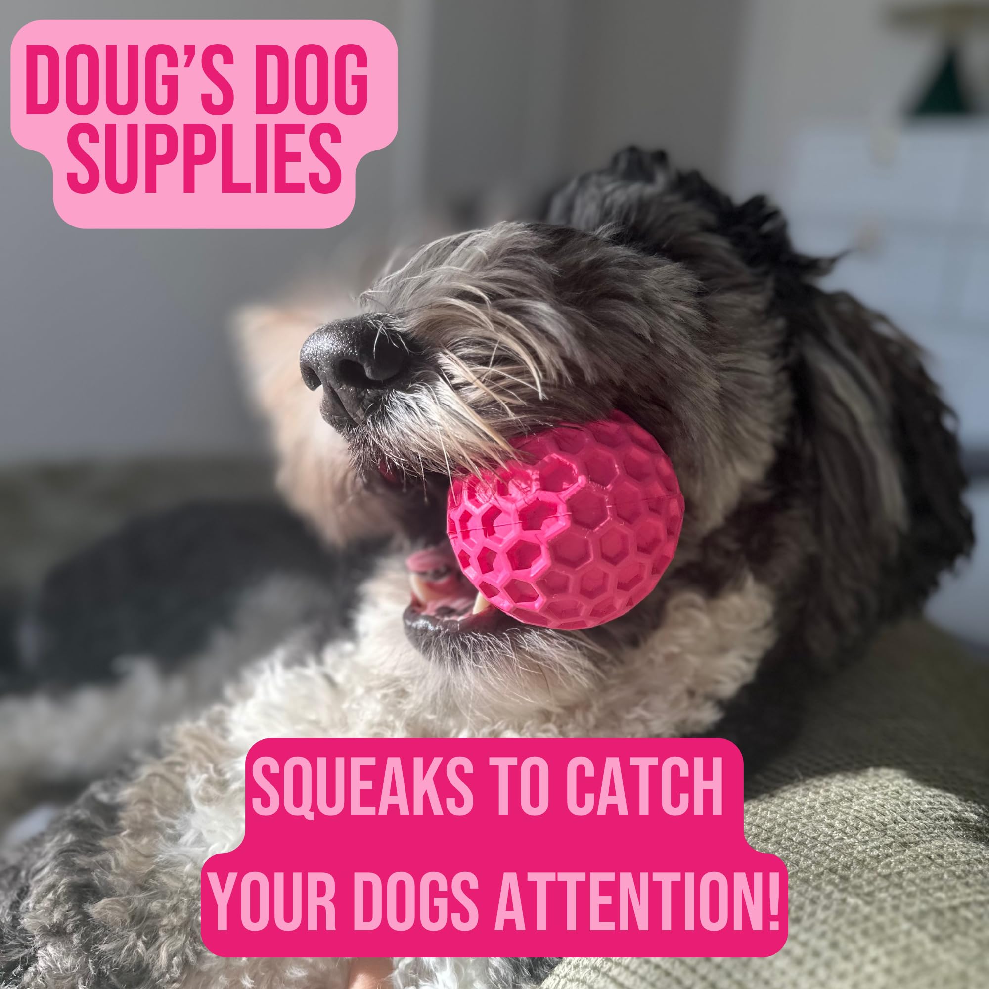 Doug's Dog Supplies Squeaky Balls for Dogs, Dog Balls, Interactive Dog Ball, Rubber Dog Ball for Medium to Large Dogs, Dog Toys (Pink, 1)