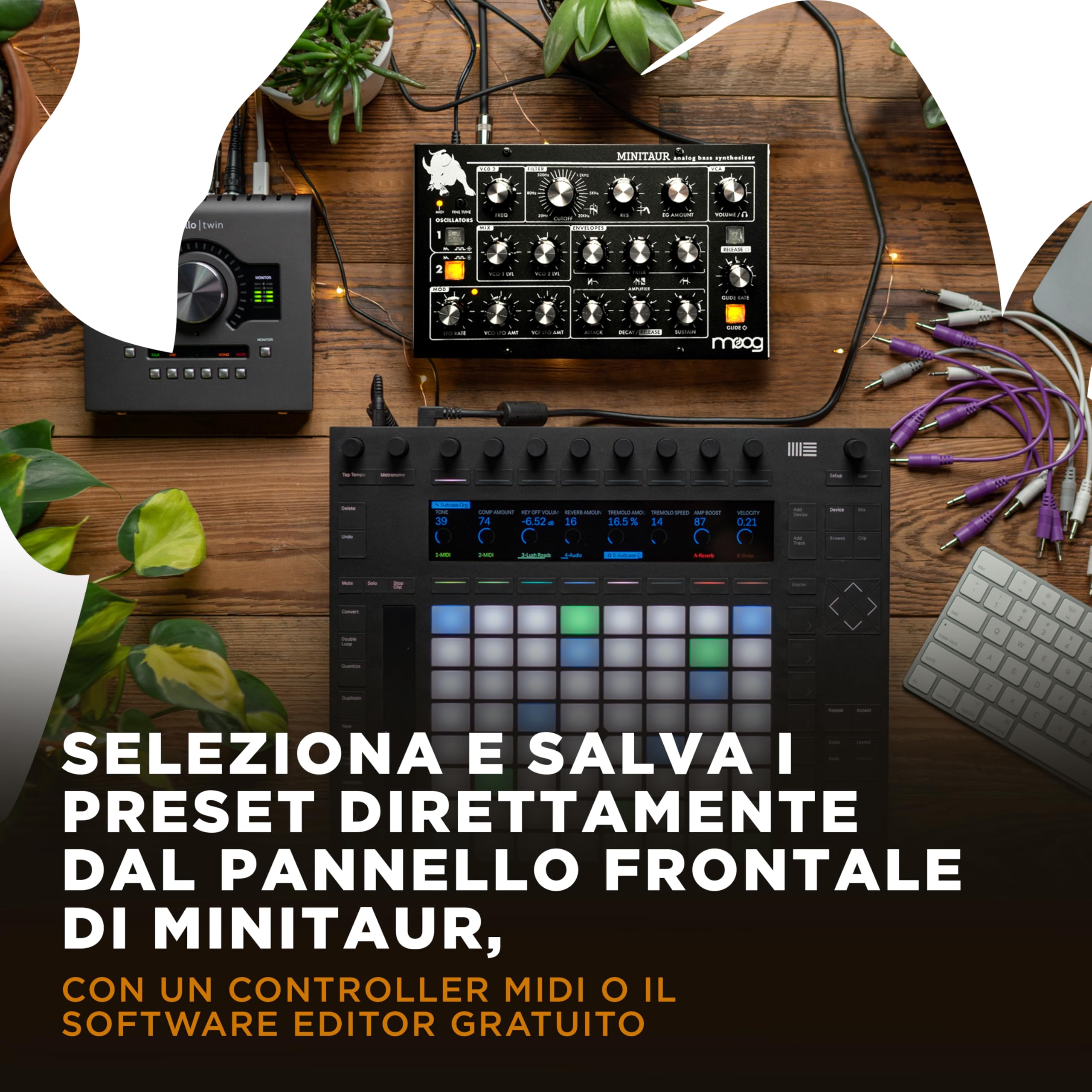 MOOG Minitaur - Modulo Basso-Synth Analogico con Amplificatore per Cuffie, 128 Preset e Software Editor