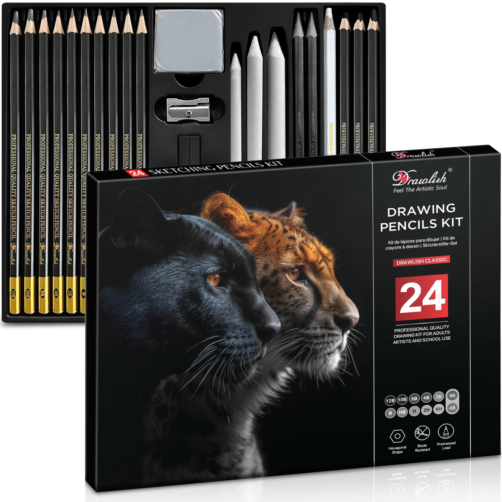 Drawing Set for Adults Pack of 24 - Drawing Pencils for Artists