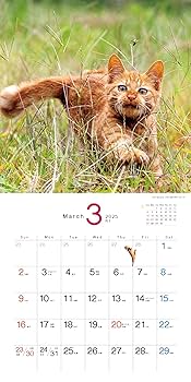 Man 雑誌 切り抜き カレンダー パンフレット 8月の営業カレンダーです！ 変更になる可能性がございます