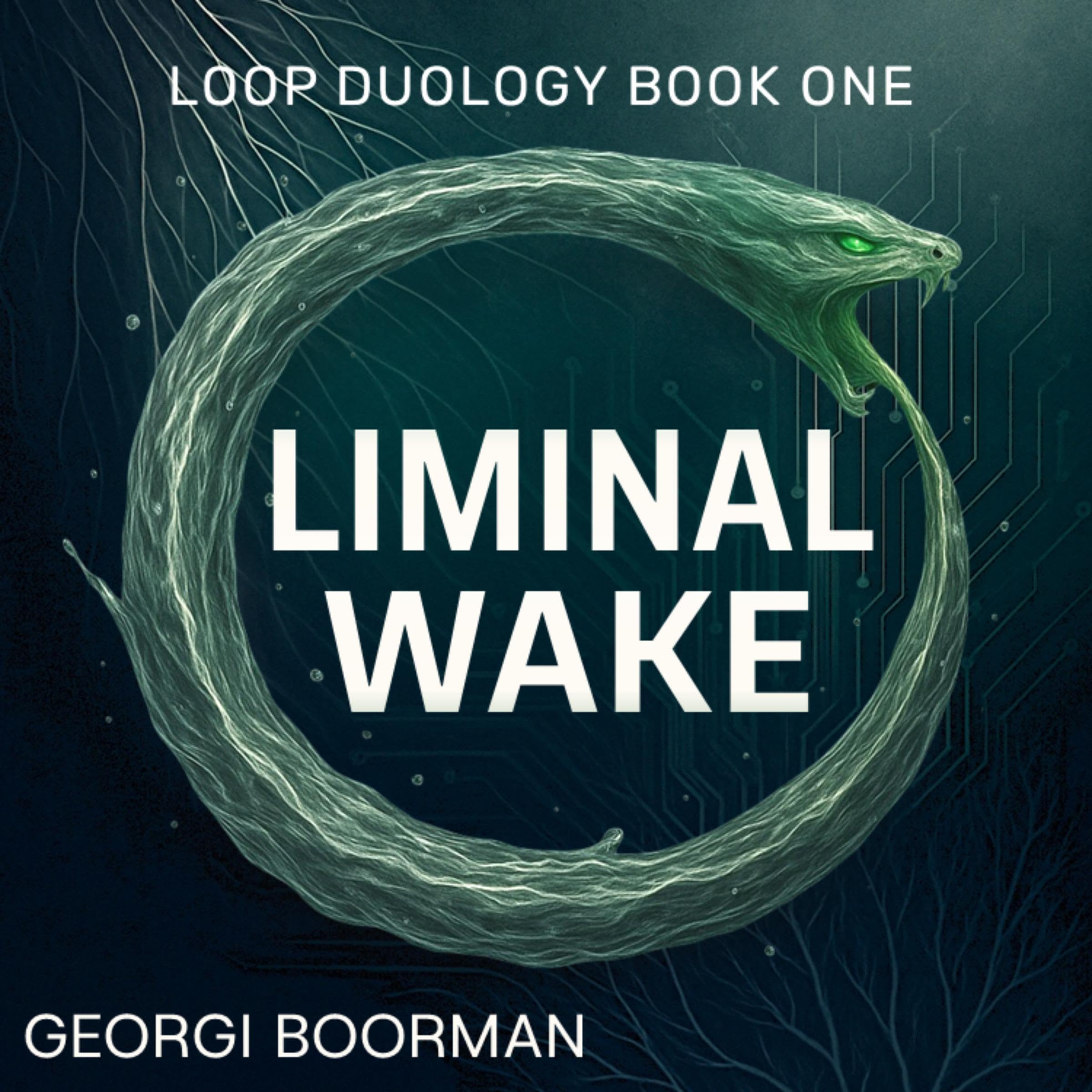 Cover art for Liminal Wake
