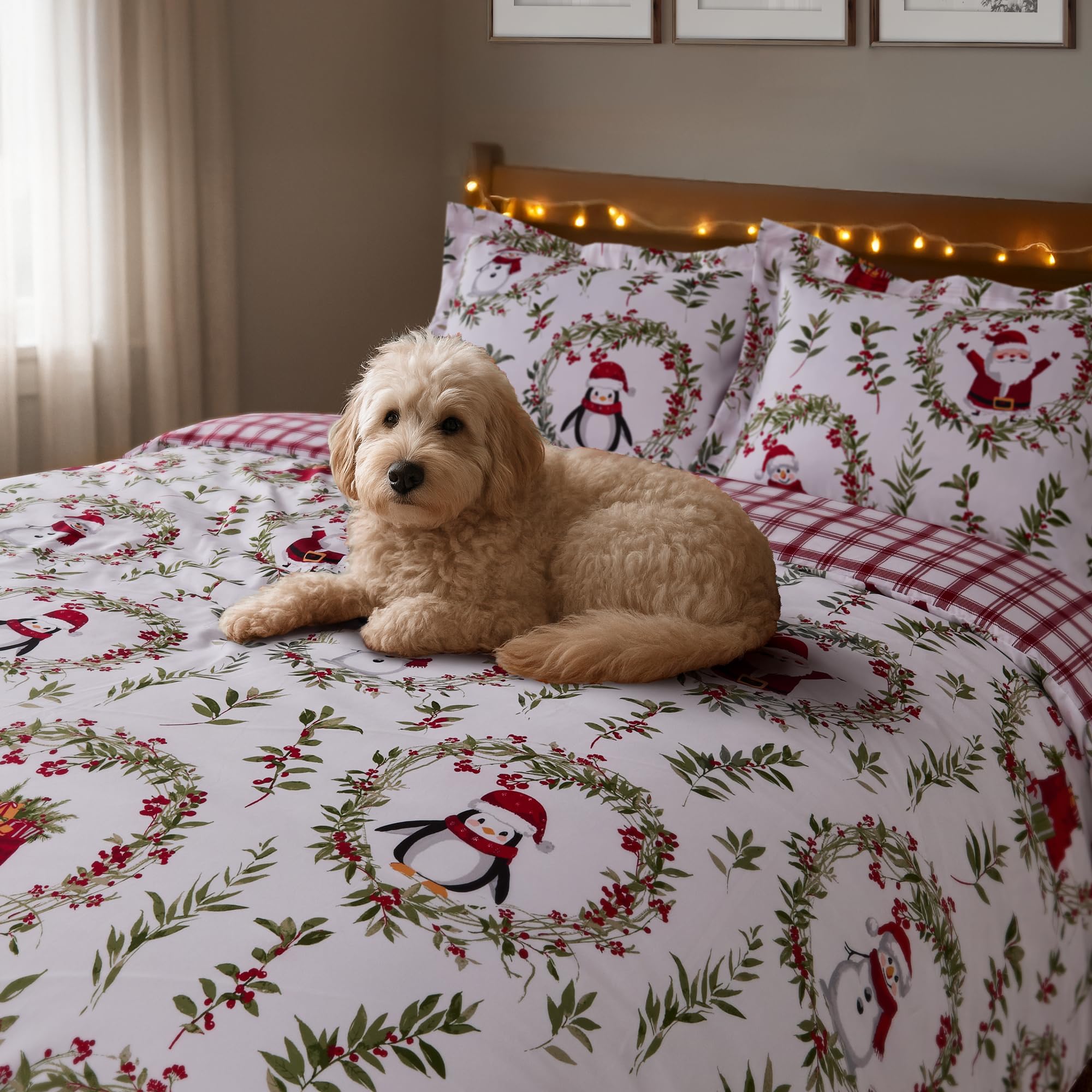 Amazon.com: Levtex Home - Pine & Plaid Comforter Set - Twin