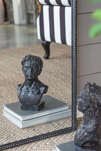 Miniatura 6 de Espejo de diseño clásico de 24 x 42 pulgadas con marco de inspiración barroca para baño, consola de entrada apoyada contra la pared