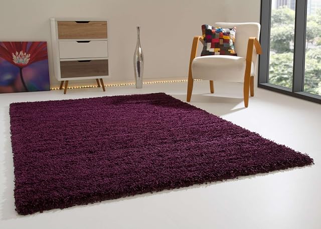 Shaggy Rug Happy XL Soft Touch Aubergine Thick Non Shedding High Pile, Size: 120x170 cm (4''x5''6")