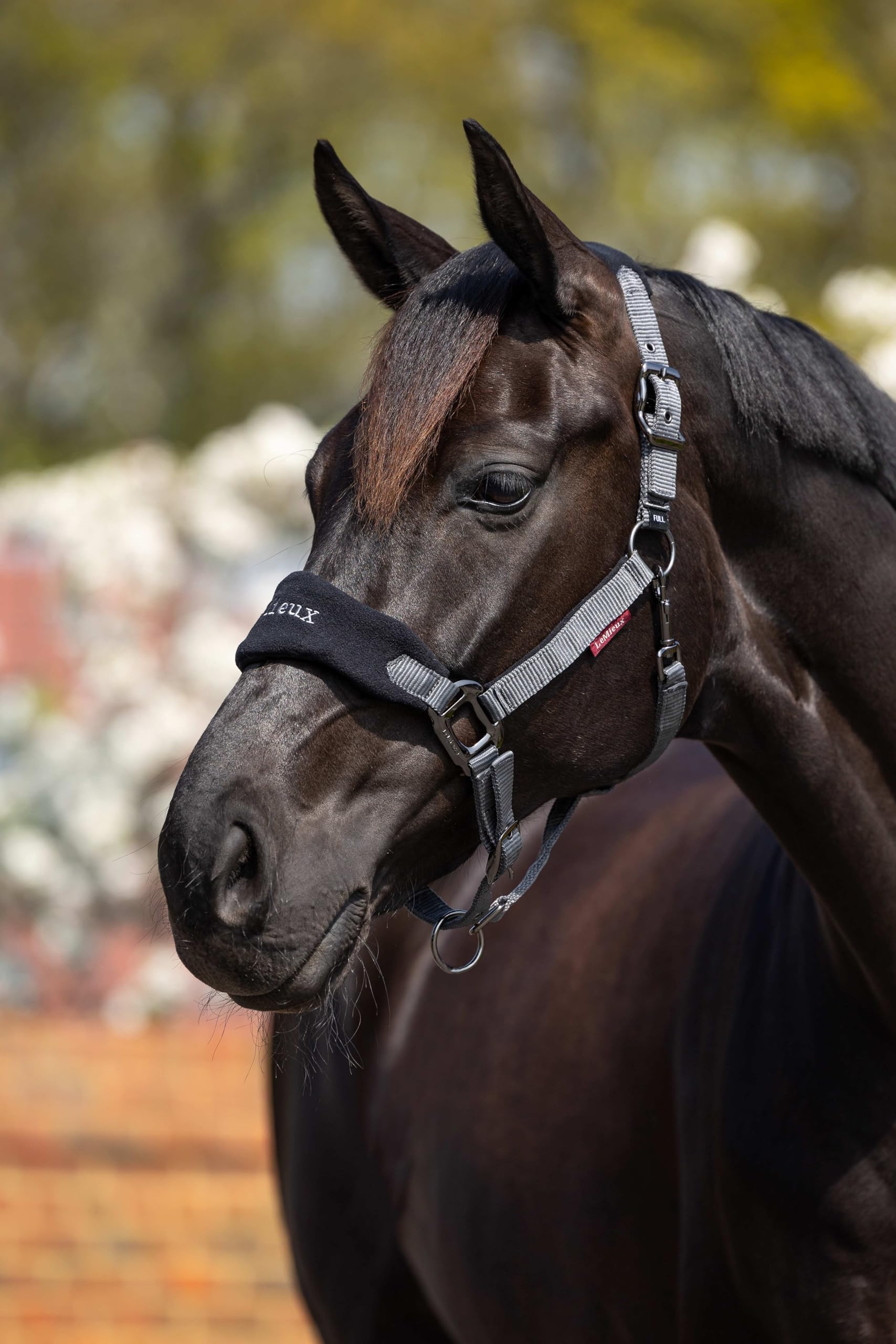 Lemieux Vogue Fleece Headcollar And Leadrope - Headcollar Unisex Adulto
