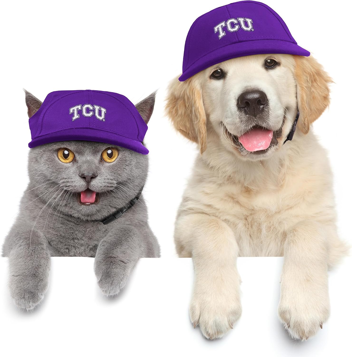 Littlearth TCU Horned Frogs NCAA Pet Baseball Hat,Small