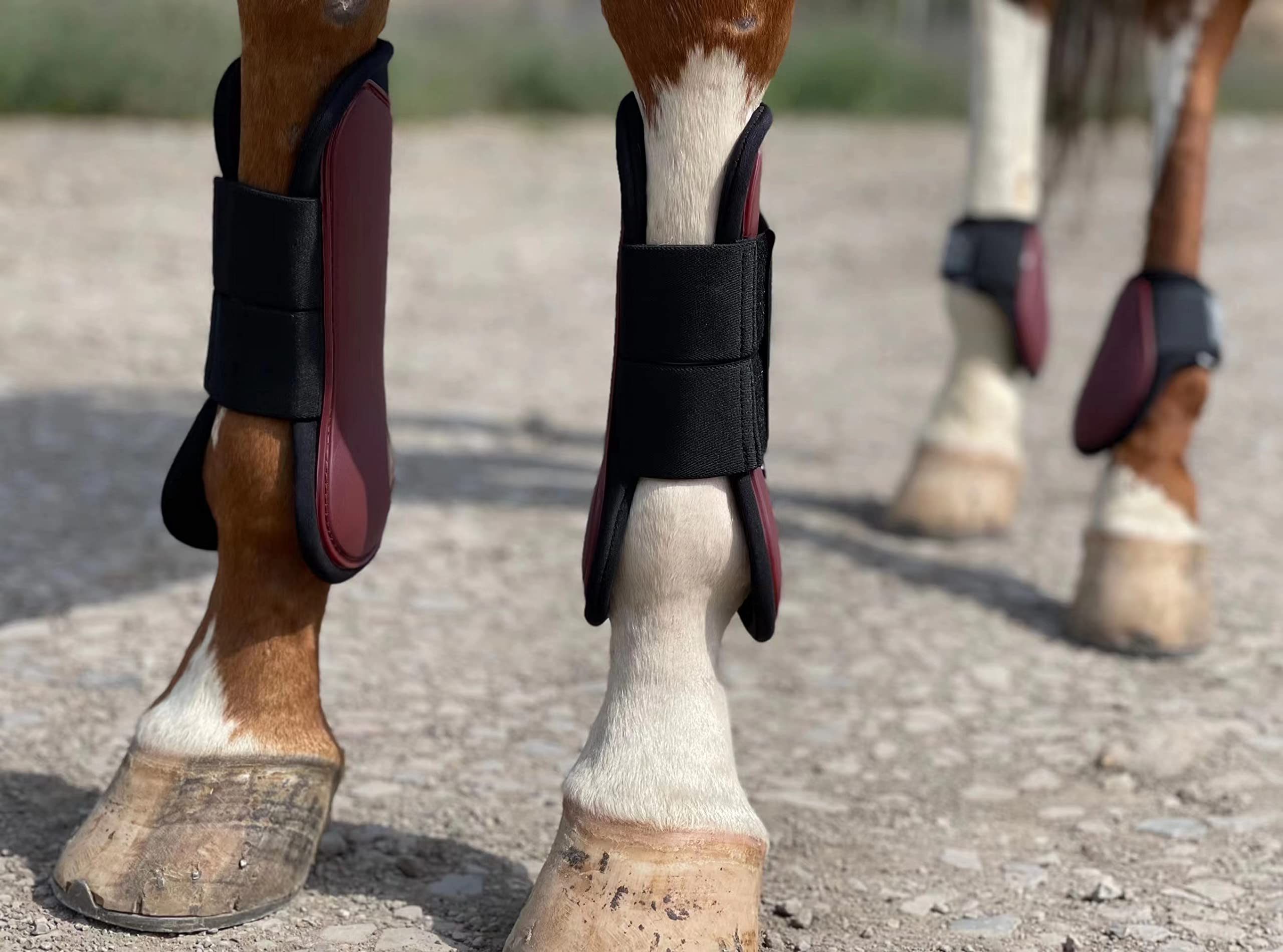 Amazon.com: Ride Now Horse Tendon Boots Open Front/Fetlock Amazon.com: Ride Now Horse Tendon Boots Open Front/Fetlock