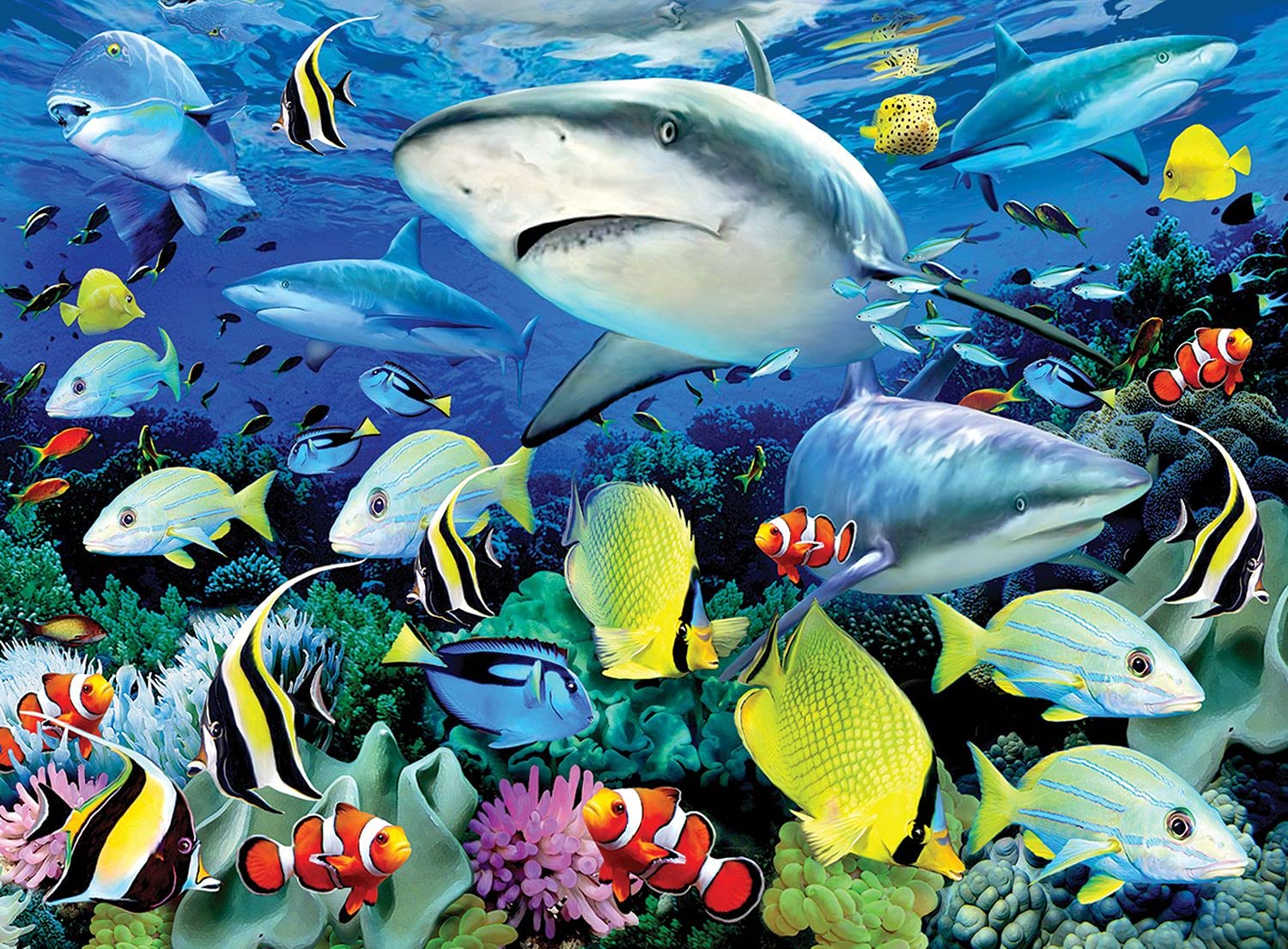 Pracht Creatives Hobby Paint by Numbers Junior Sea Life, DIY Picture Approx. 40 x 32.5 cm, Includes 7 Acrylic Paints, Brush and Printed Painting Card, Ideal for Beginners and Children from 8 Years