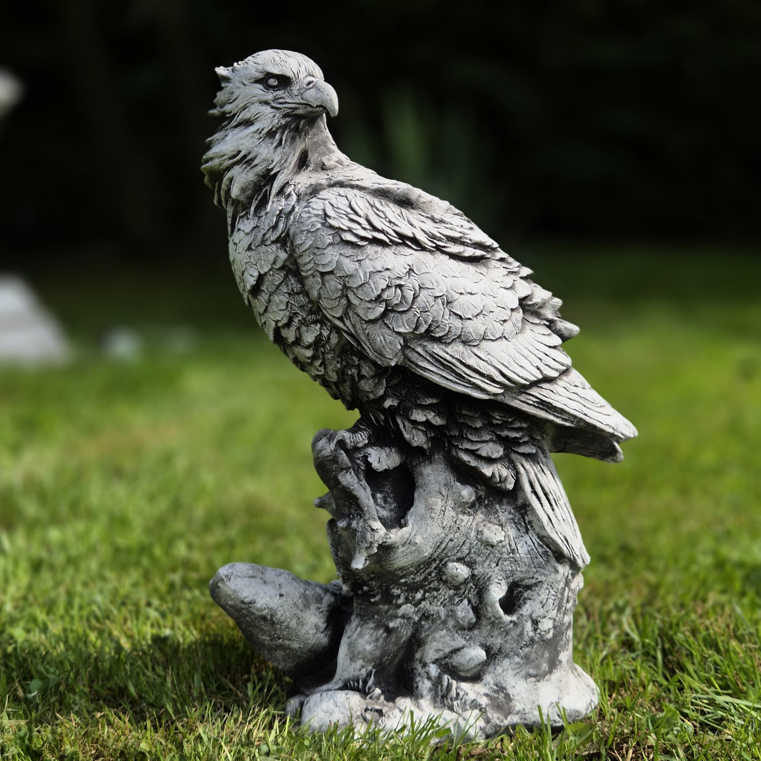 Abriq Aquila sulle rocce, decorazione da giardino realistica in pietra grezza resistente alle intemperie, antigelo per esterni, statua di aquila sulla roccia, aquila reale, altezza: 34 cm, 6 kg