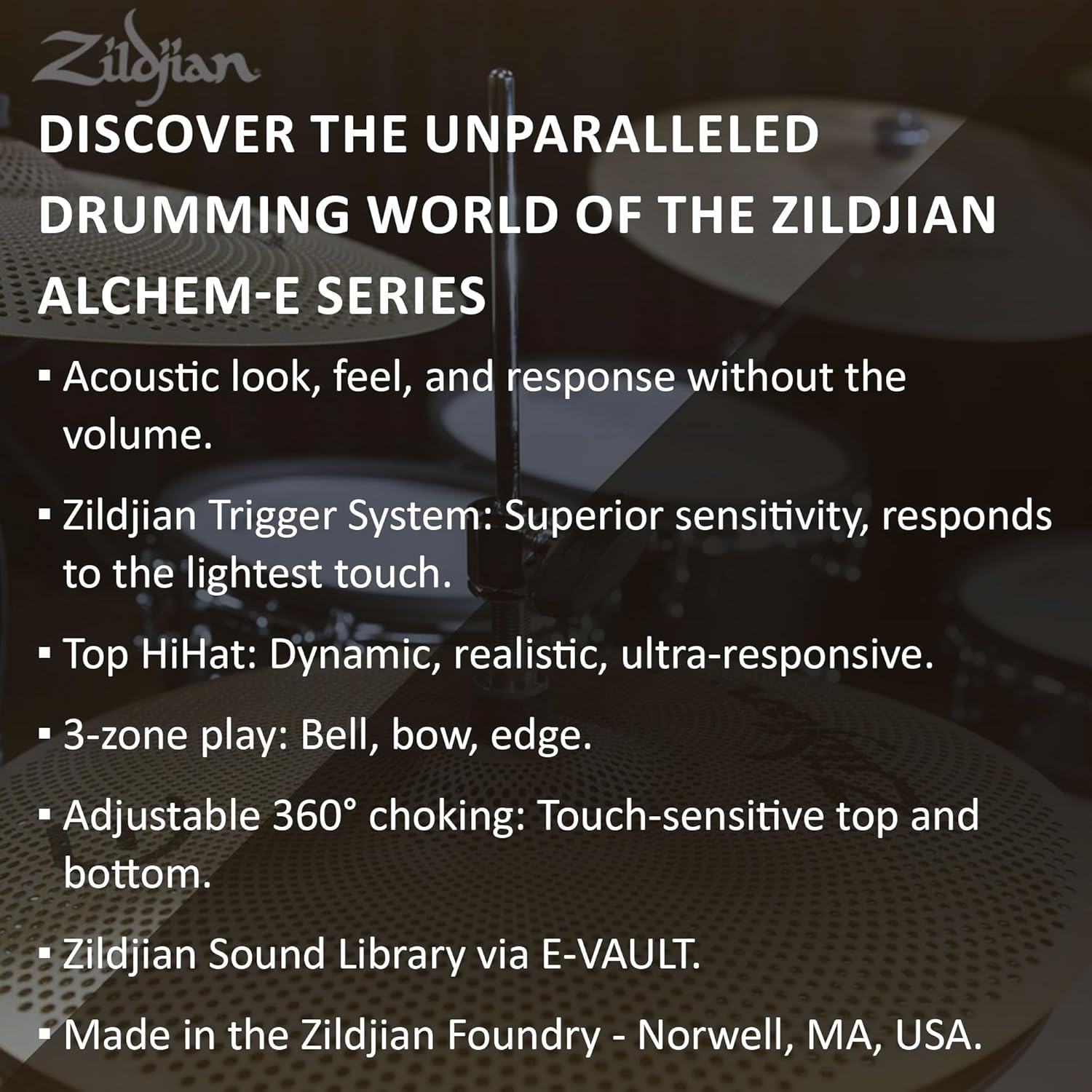 Zildjian ALCHEM-E ZAGEX Gold EX Electronic Drum Kit