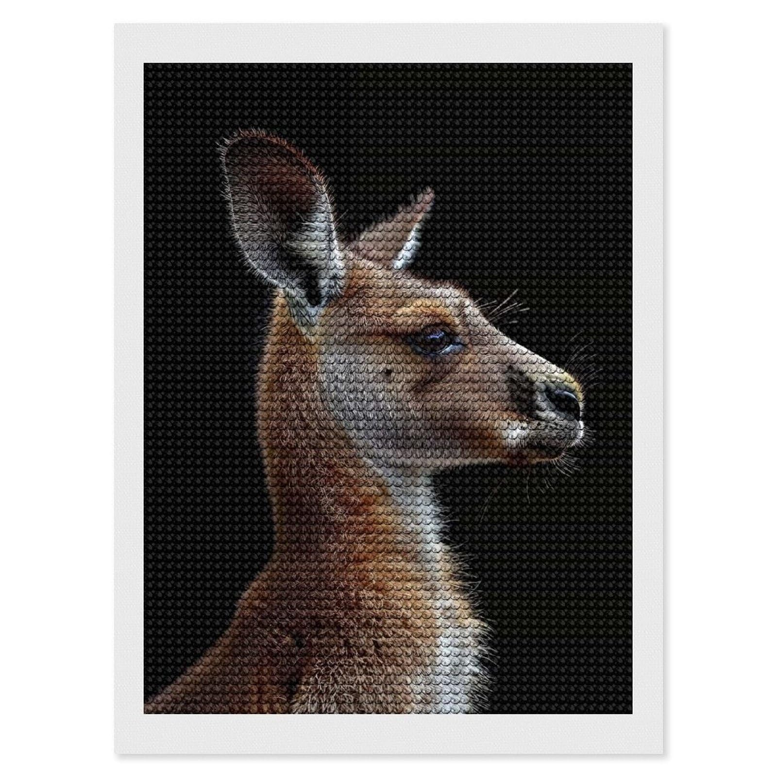 Junmoney Kangaroo Diamond Art Canvas 12"x16", for Adults, Pleasing Wall Art Project, Modern Decor, Gift Idea, Nice Detail and Sparkle