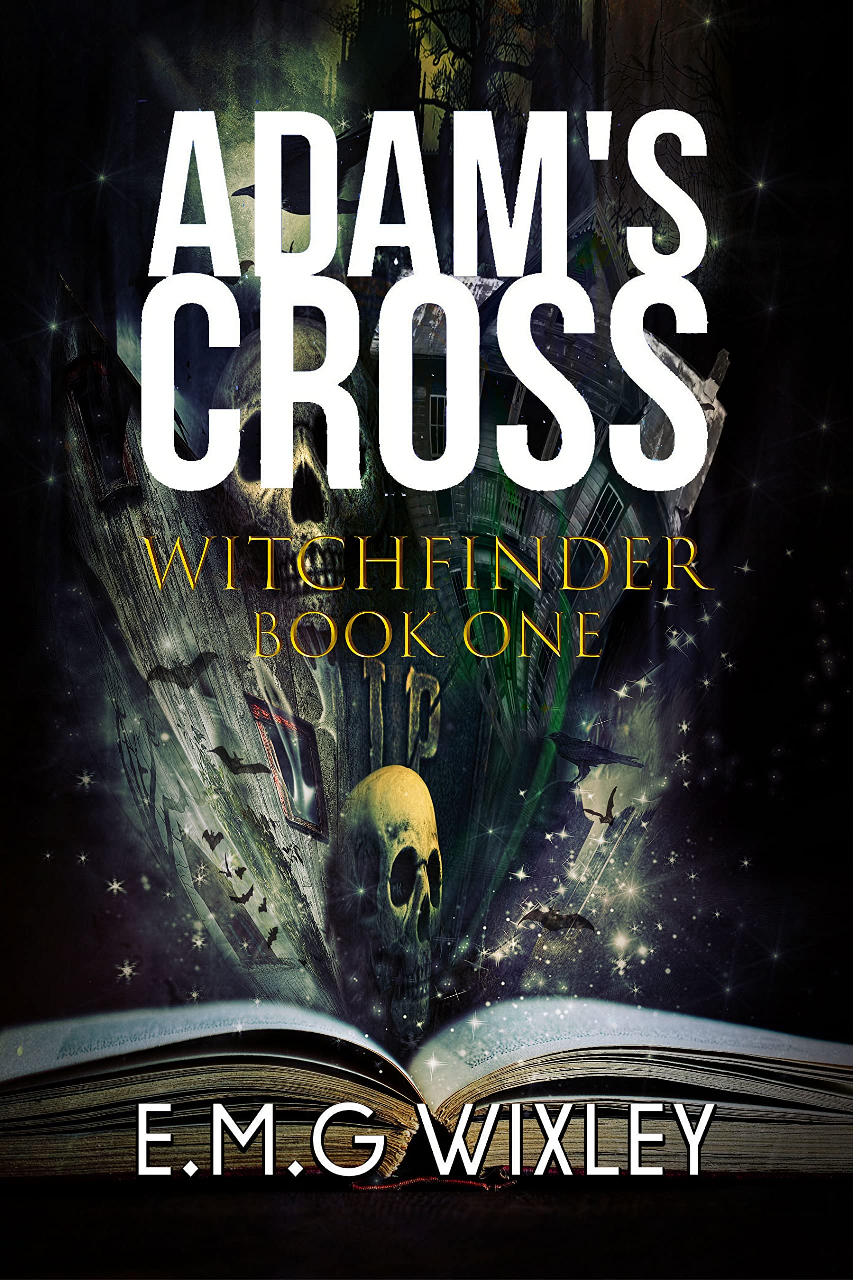 Adam's Cross: Book One of the Witchfinder Series