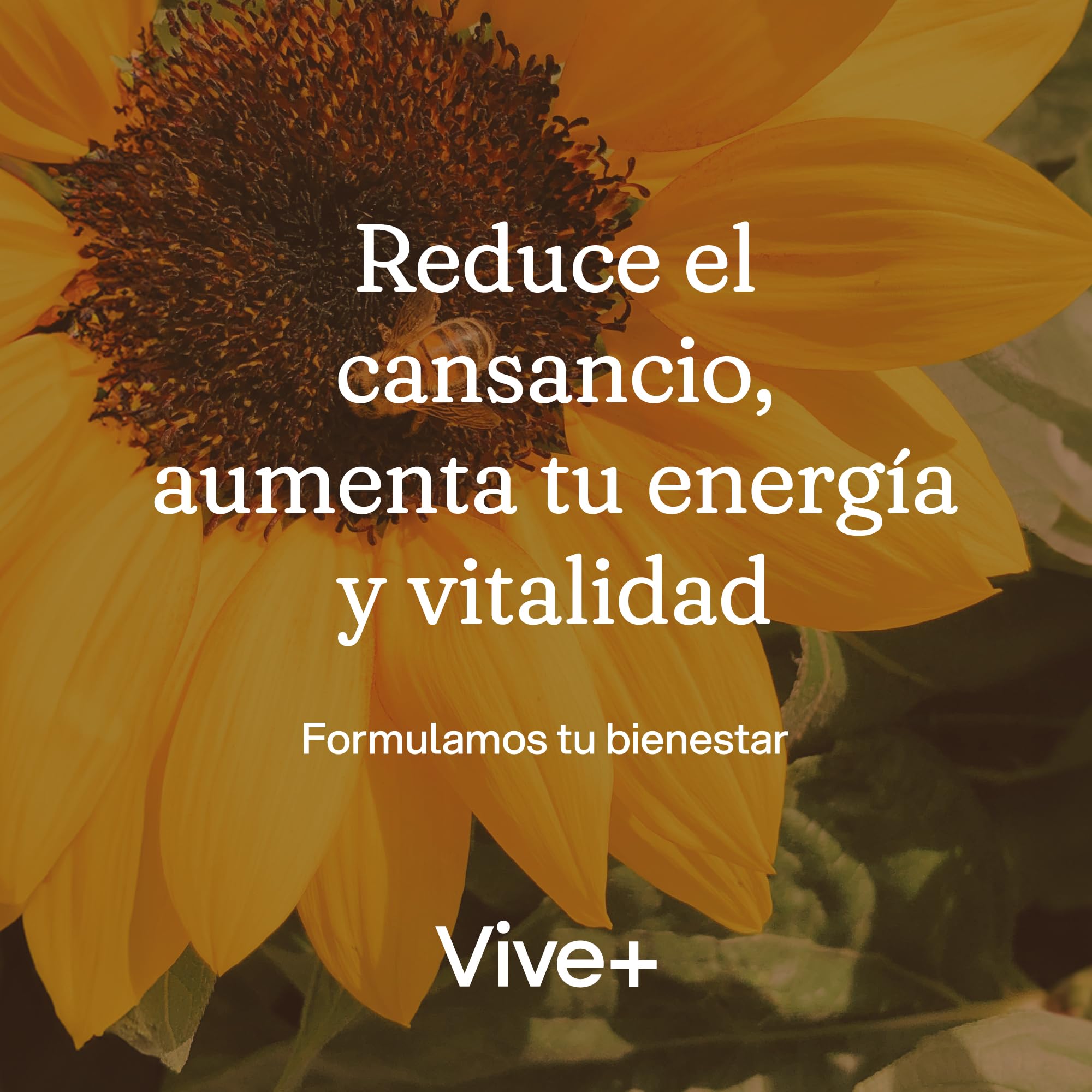 Vive+ Jalea Real – 12 Viales – Suplemento Energético Natural con Vitamina C – Refuerza el Sistema Inmunológico y Reduce el Cansancio – Fórmula Concentrada para Vitalidad y Bienestar