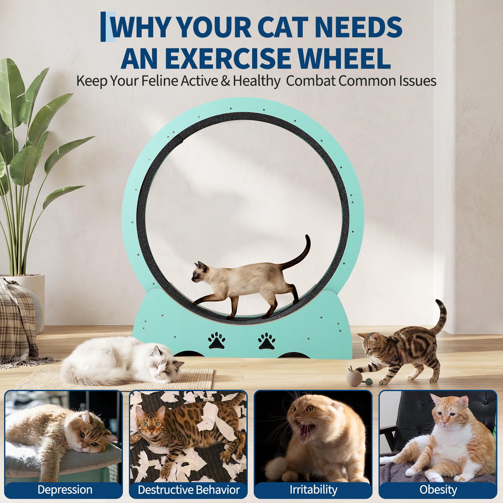 Katzenlaufrad Extra Groß 87 cm, Ultraleises Laufrad Katze mit Teppichmatte, Spielzeug-Set & Sicherheitsverriegelung, Stabil für Alle Katzenrassen