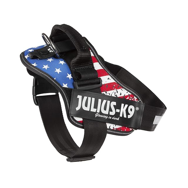 Foto 3 de 4 de IDC Powerharness, tamaño: M/0, Bandera de Estados Unidos