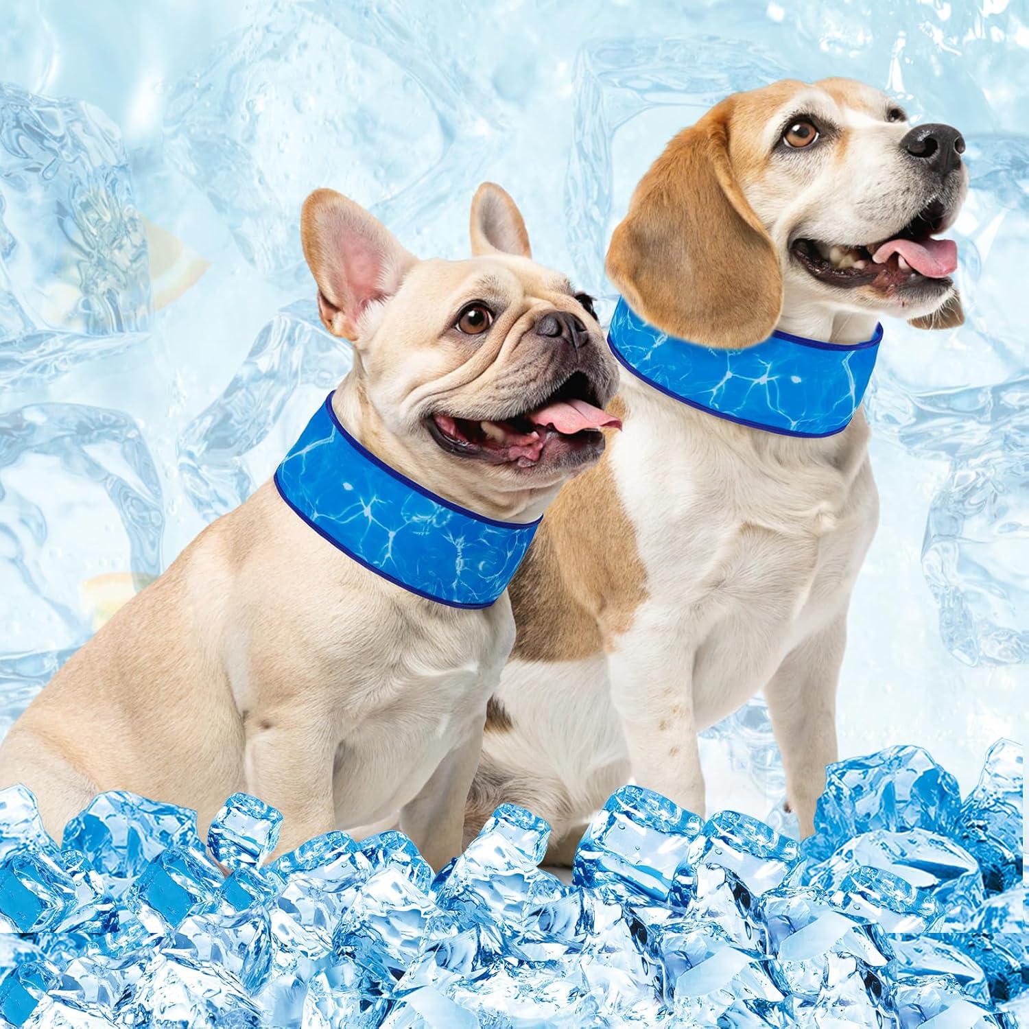BEAUTYZOO Dog Cooling Bandana 2-Pack | Instant Chill Neck Wrap for Summer BEAUTYZOO Dog Cooling Bandana 2-Pack | Instant Chill Neck Wrap for Summer