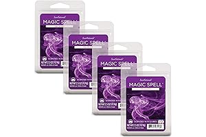Magic Spell 2.5 oz Scented Girlfriend Night Wax Melts