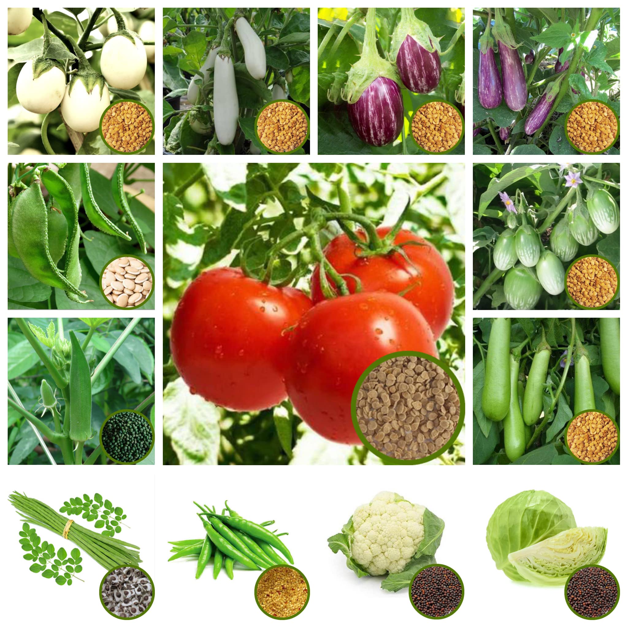 MyOwnGarden Organic Vegetable Seeds Combo - Tomato, Brinjal, Chilli, Ladies Finger, Flat Beans, Cowpea, Cauliflower, Cabbage, Drumstick Seeds (B09YY5PYNT) Amazon Price History, Amazon Price Tracker
