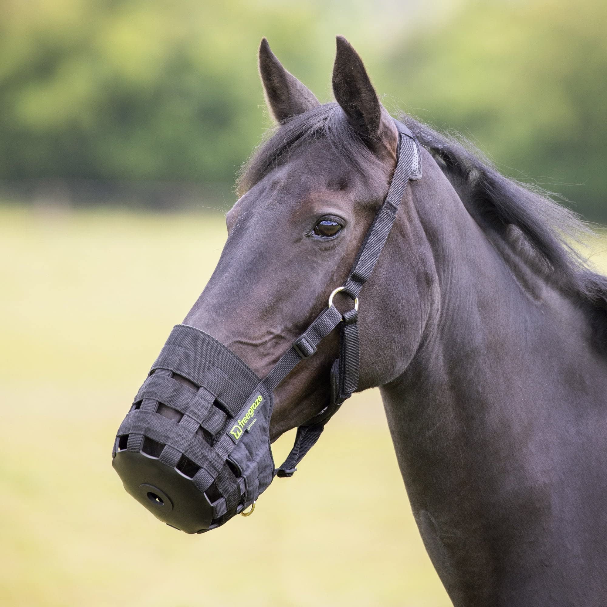 Shires Comfort Weidemaulkorb extra voll