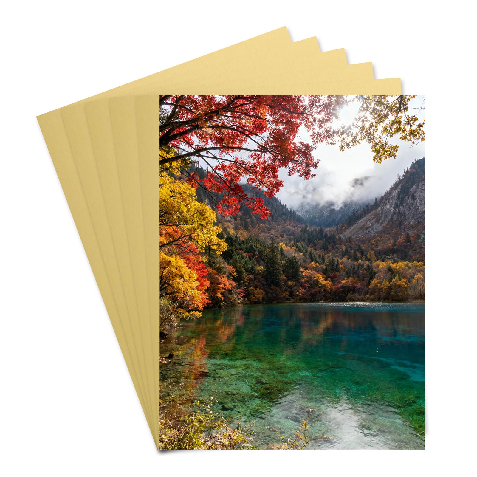 PATIKIL 6 Pcs Aluminum Sublimation Blanks, 11.8x7.9 Metal Sublimation Blank Sign Metal Photo Prints for Custom Personalized Frame Cards Photo, Dark Gold