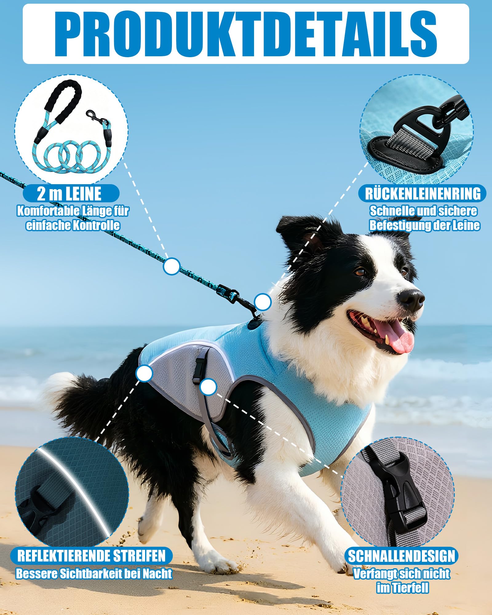 Kühlweste Hund mit 2 m Leine, Hunde Kühlweste für Kleine und Große Hunde, Reflektierende und Atmungsaktive Kühljacke für Sommer, Outdoor und Training