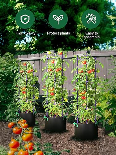 Miniatura 2 de GROWNEER Paquete de 6 jaulas de tomate para jardín, soporte de estacas de tomate enrejado de 51 pulgadas, jaula para plantas con 18 clips y lazo