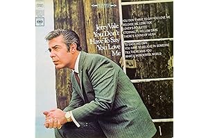 You Don't Have to Say You Love Me; Making your voice heard...