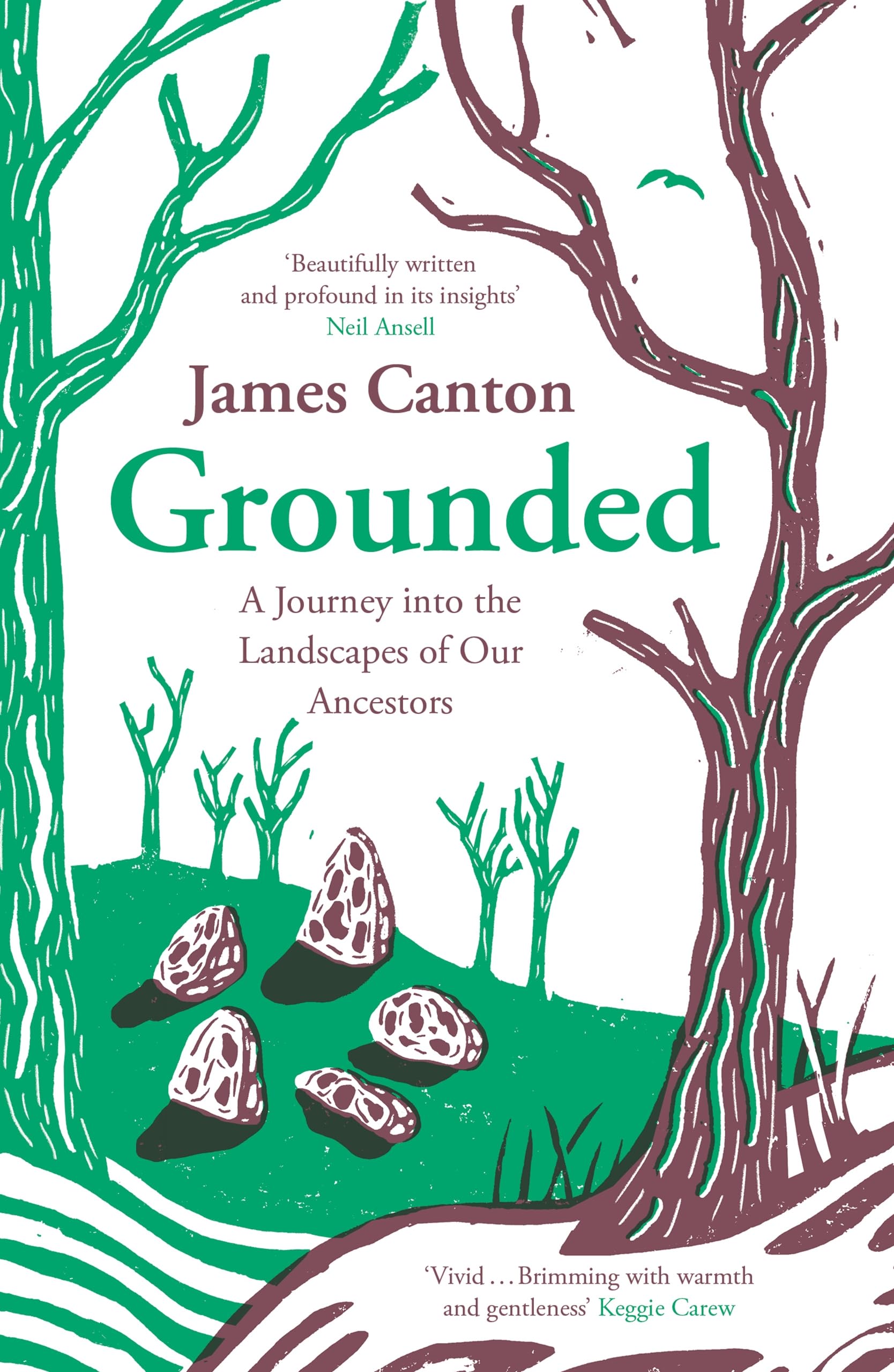 Grounded: A Journey into the Landscapes of Our  by James Canton PAPERBACK