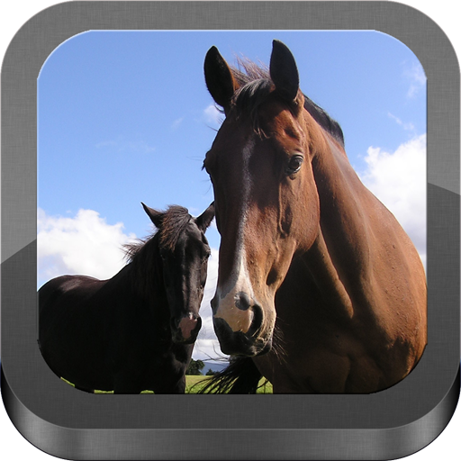 Horse problems and solutions App on Amazon Appstore