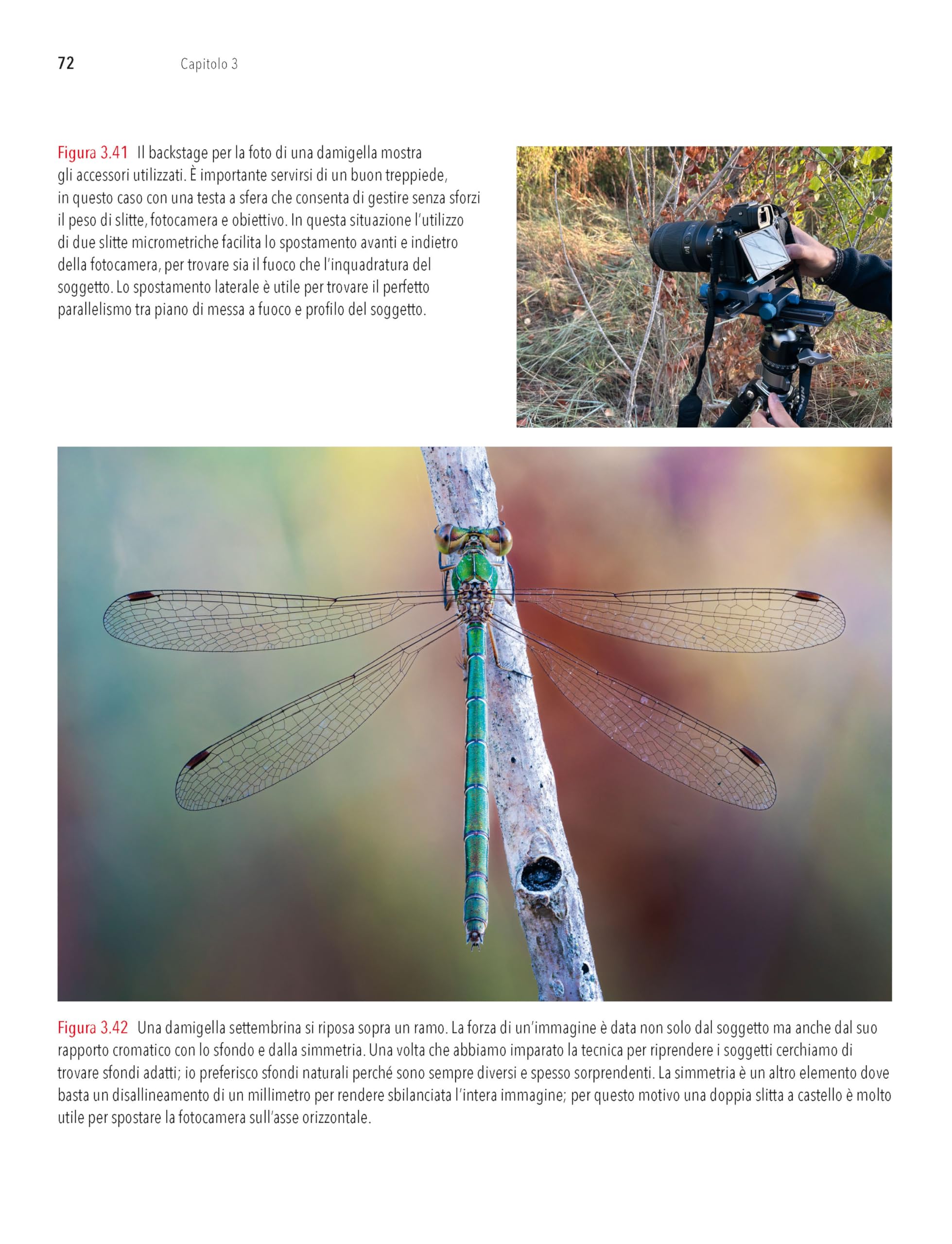 Macrofotografia. Strumenti e tecniche per catturare i dettagli del mondo
