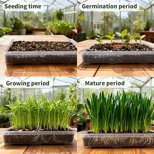 Vista 35 de Paquete de 5 bandejas para macetas de guardería, bandeja de transporte y sujeción para plantas para maceta, soporte de transporte de 24 celdas