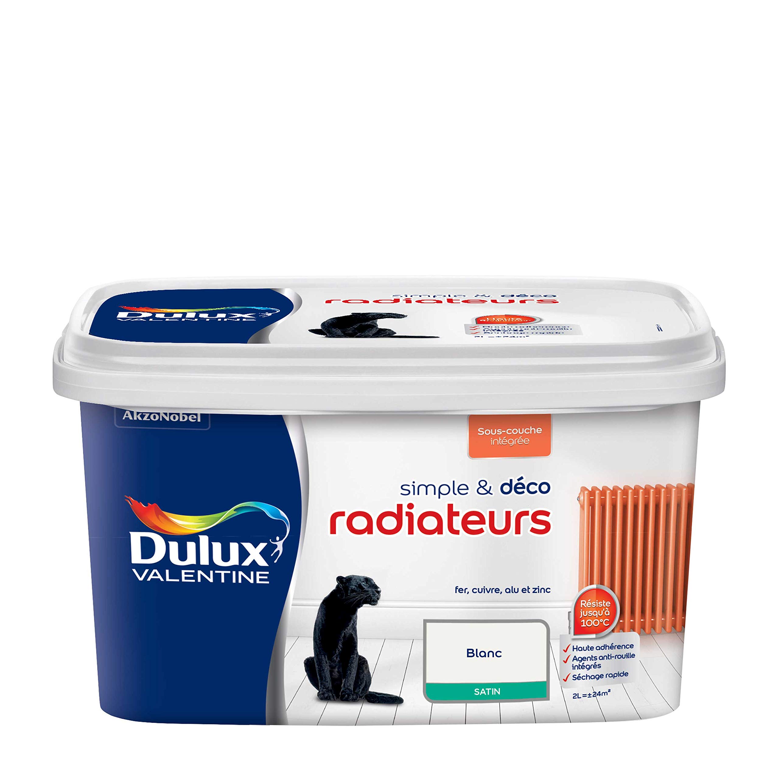 Peinture Radiateurs Blanc
