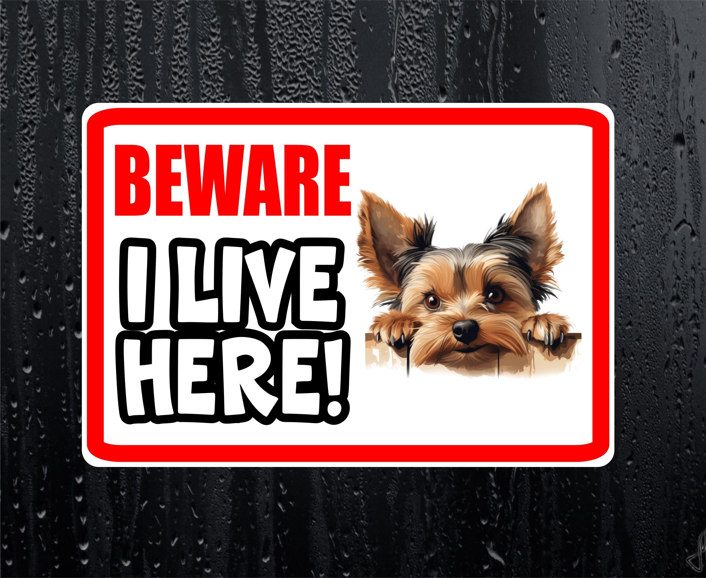 Decalarama White Yorkshire Terrier Sticker Beware I Live Here House Home Window Door Porch Decal