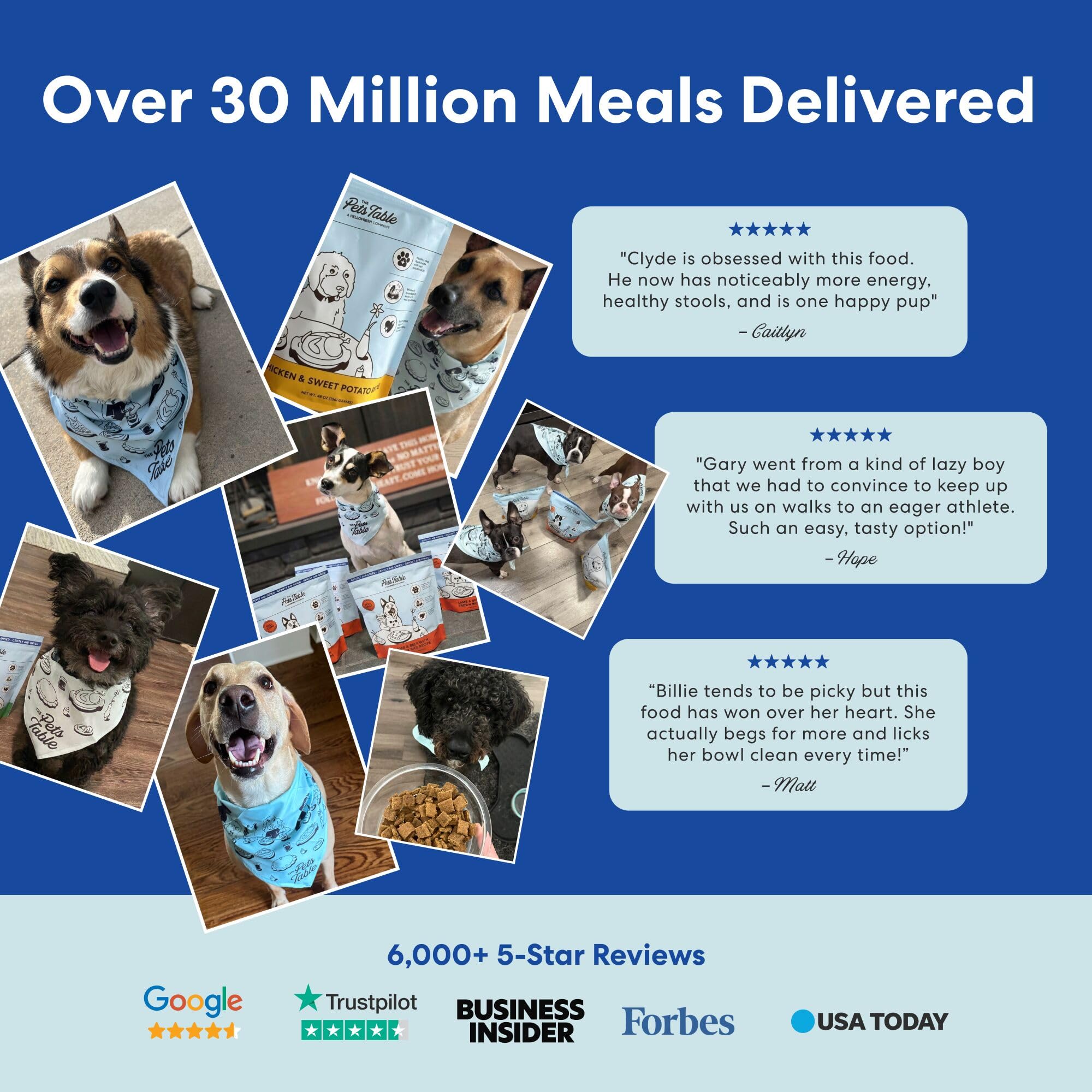 The Pets Table Alimento para perros secado al aire para pollo y batata, bolsa de 1,4 l