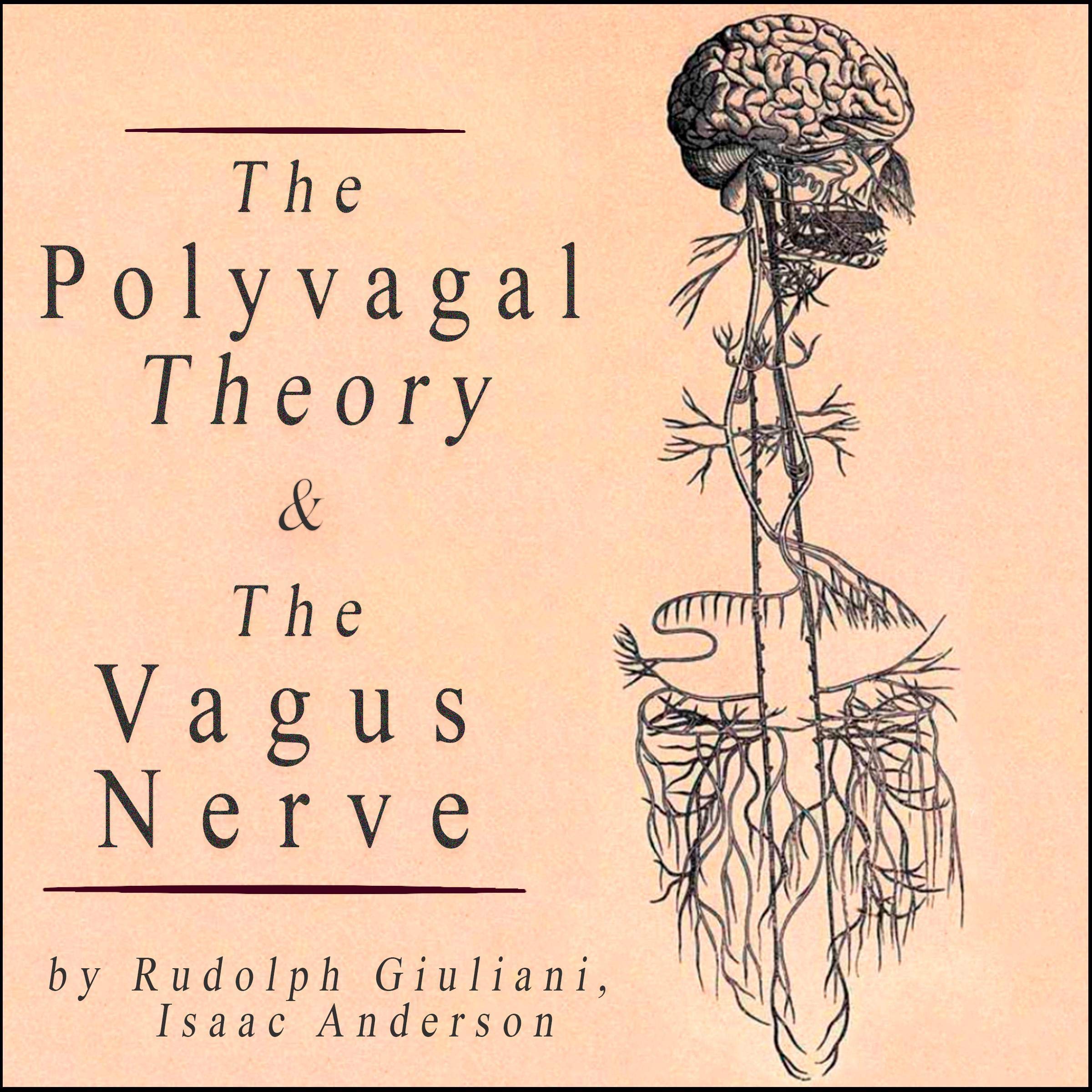 Buy The Polyvagal Theory The Vagus Nerve A Self Help Guide To