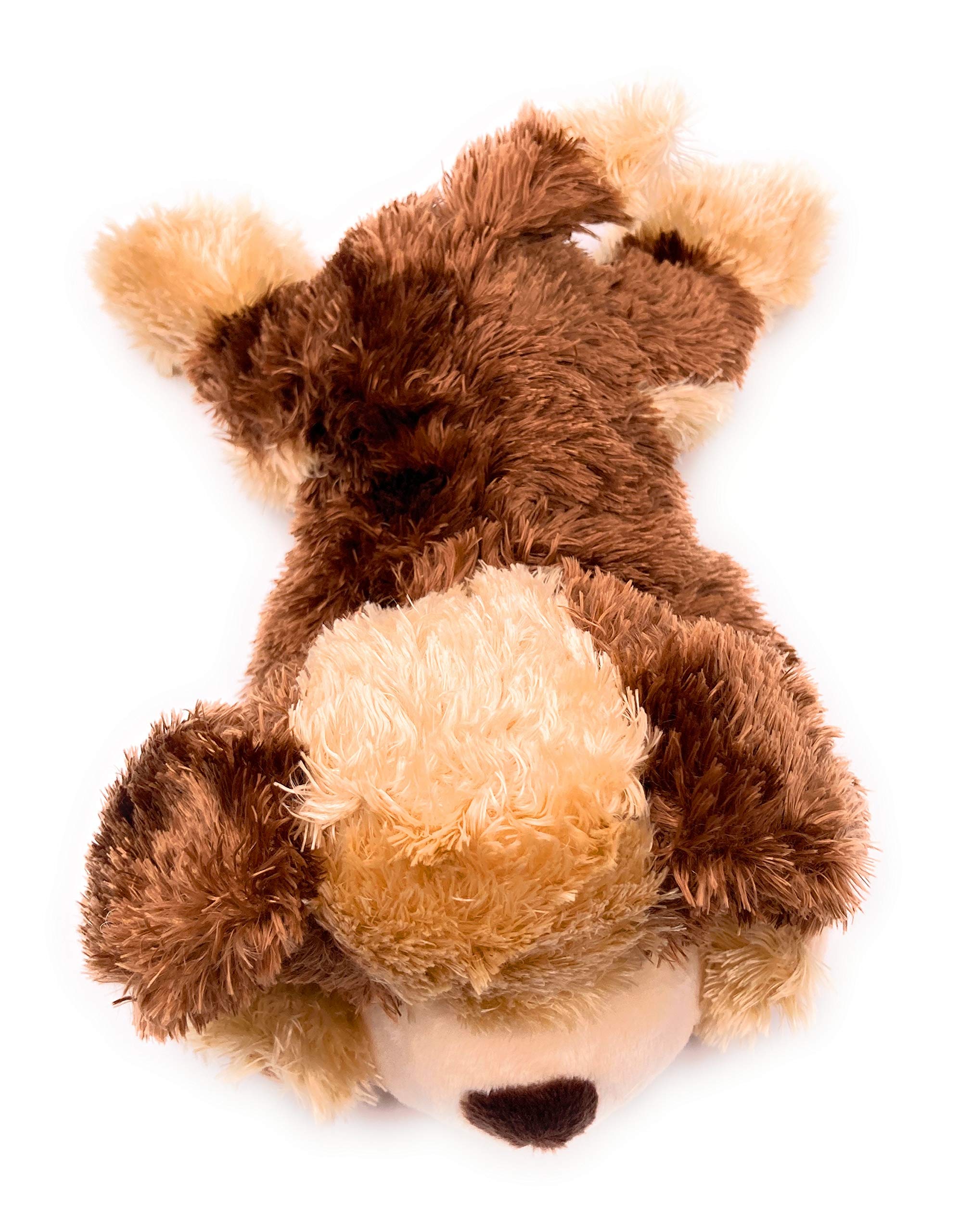 Giocattolo Promozionale Personalizzato in Morbido Peluche a Forma di Scoiattolo Marrone con Pigna, Animale di Peluche con Pigna