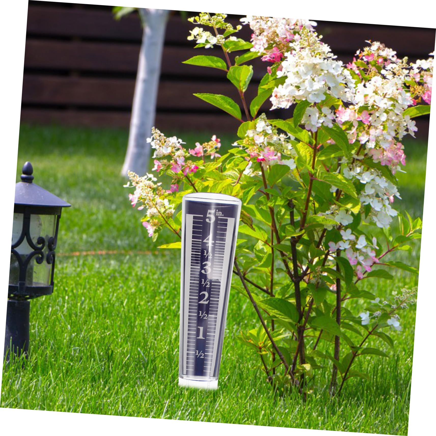 Toyvian 5stücke Transparenter Regenmesser Mit Garten Regenmessröhre Für Präzise Niederschlagsmessung Im Freien Für Rasen Und Pflanzenpflege