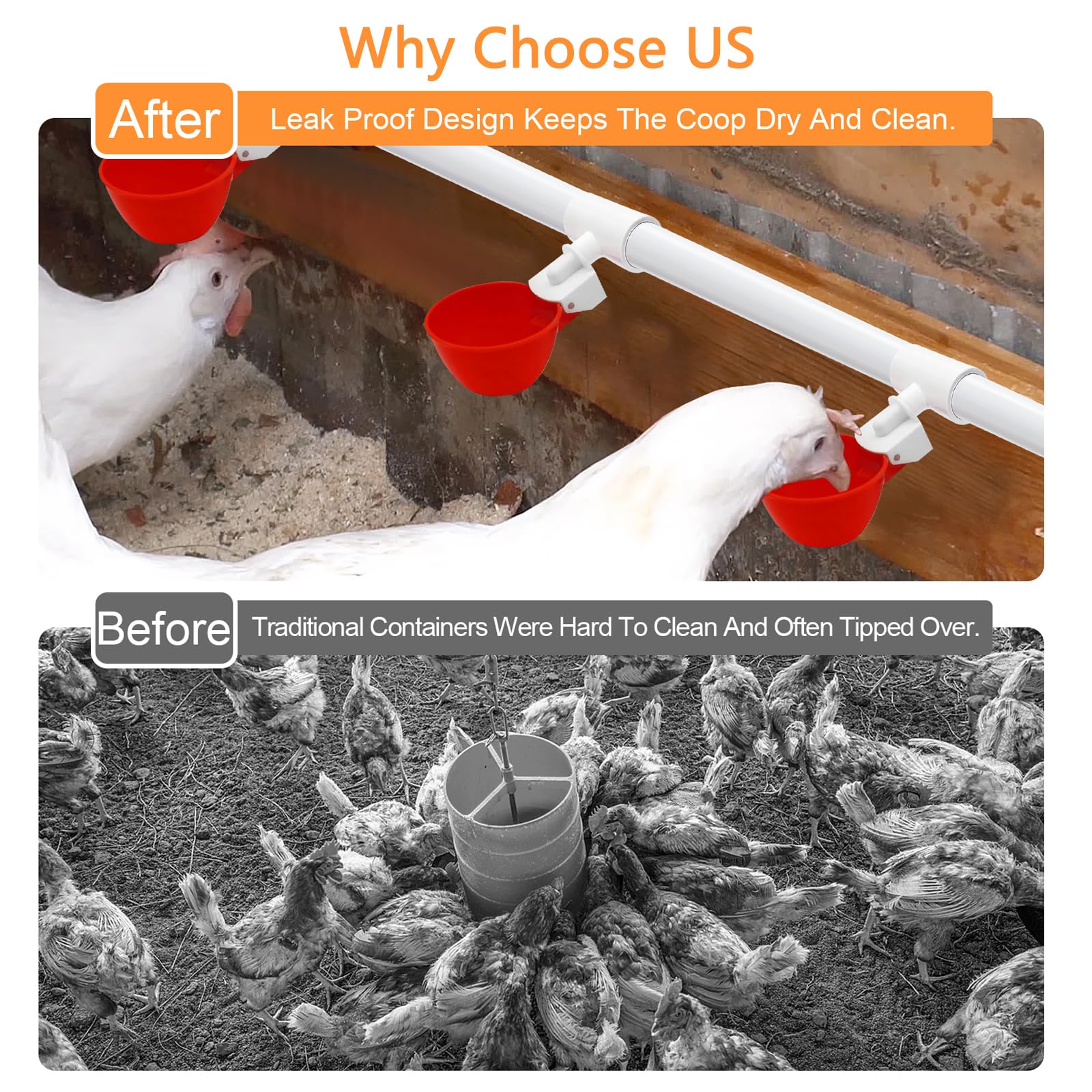 Chicken Water Drinker Bowl/Automatic Poultry Chicken Water Drinker - TikTok Shop Philippines - View #5