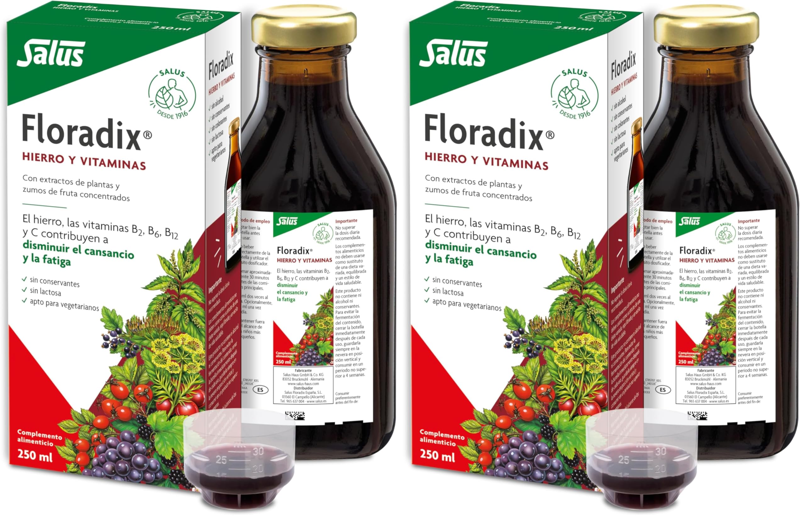 Floradix Liquid Iron and Vitamin Formula 250ml (Pack of 2)