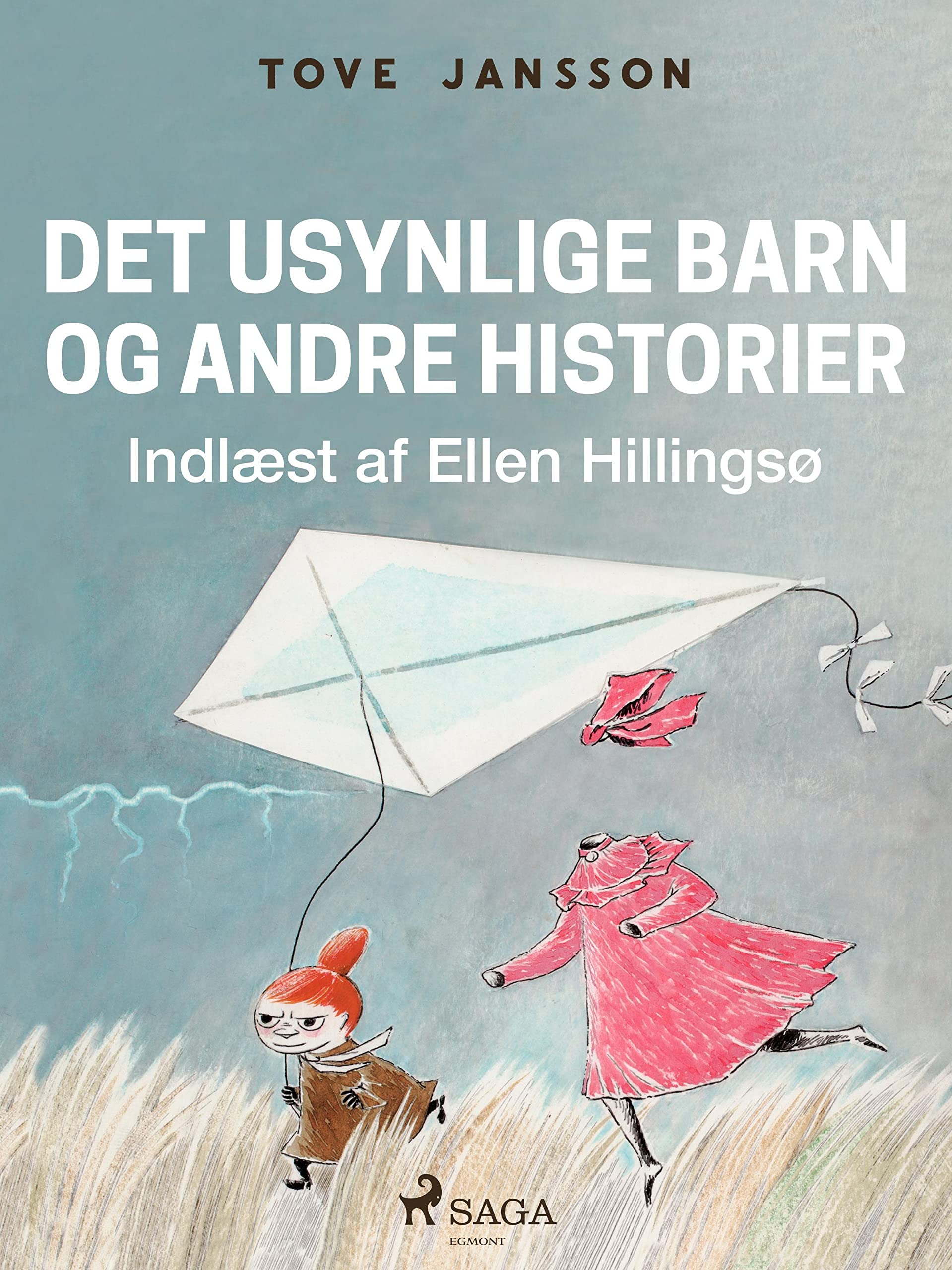 Cover art for Det usynlige barn og andre historier